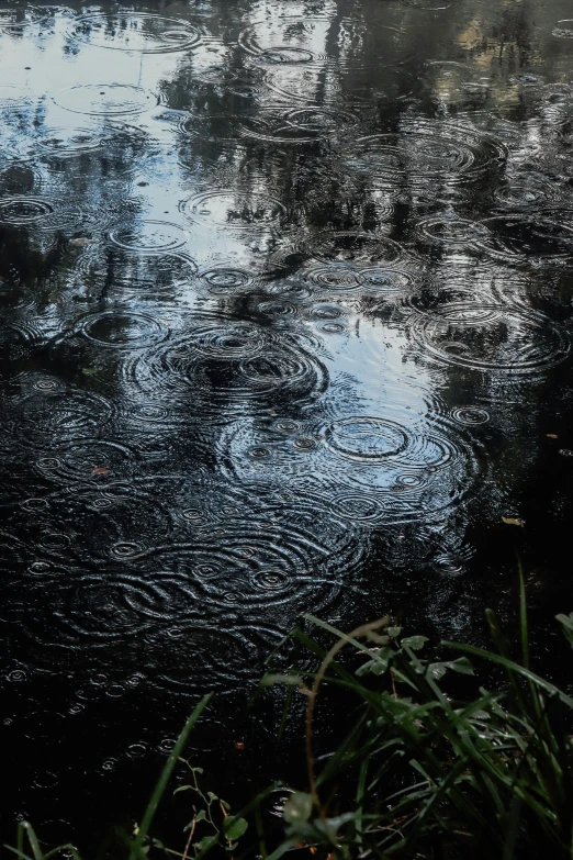 a group of umbrellas sitting over some water