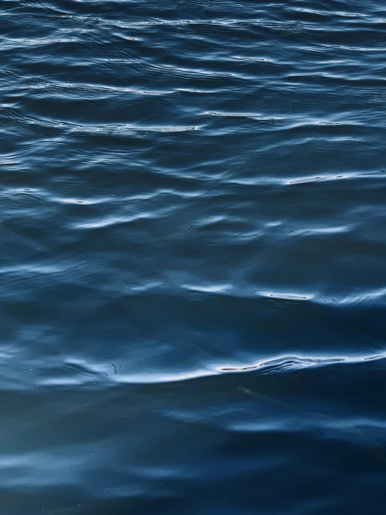 water surface with ripples showing in color