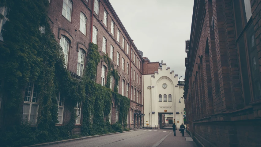 the street is paved with brick buildings with vines growing on it