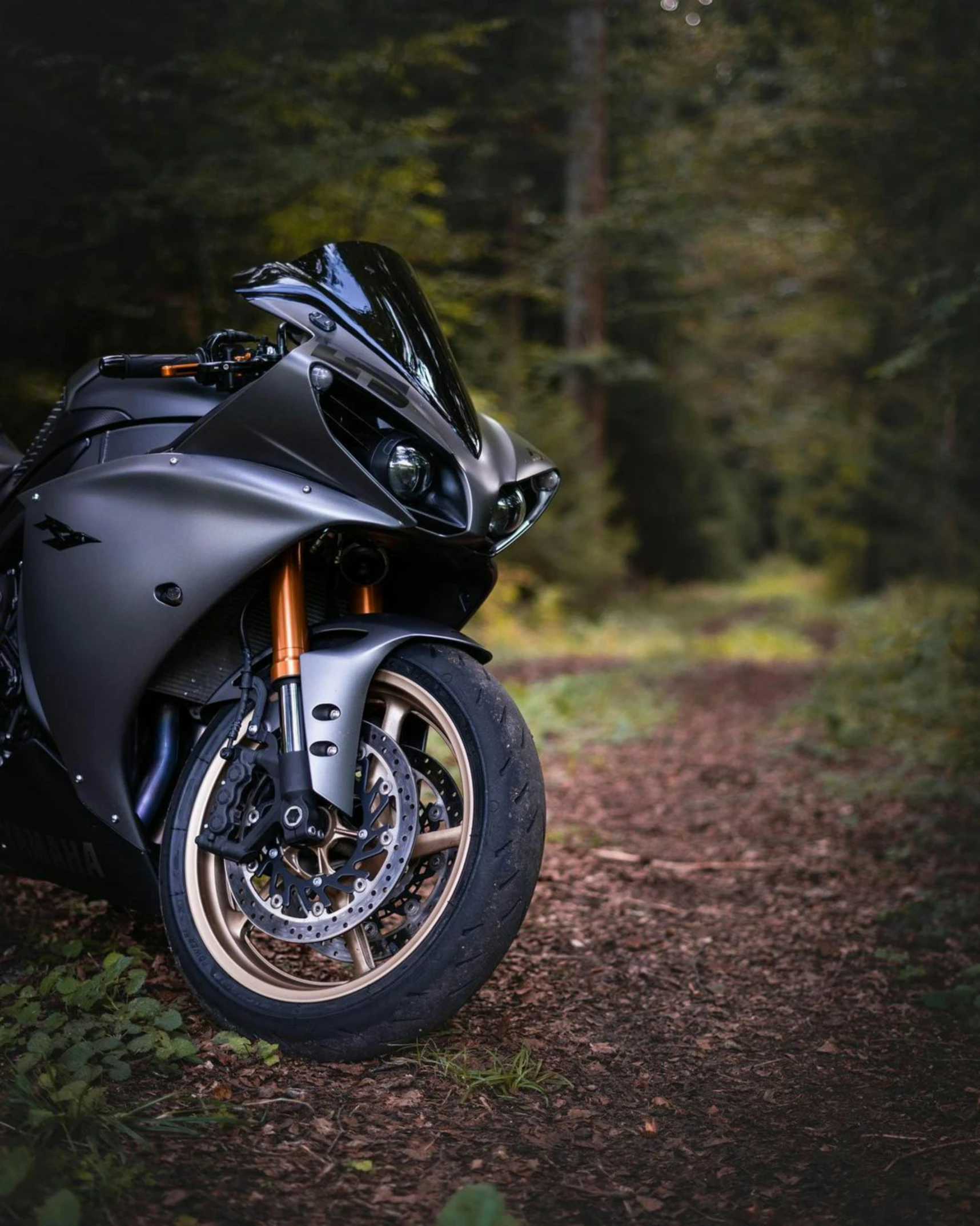 a motor bike parked in front of a forest