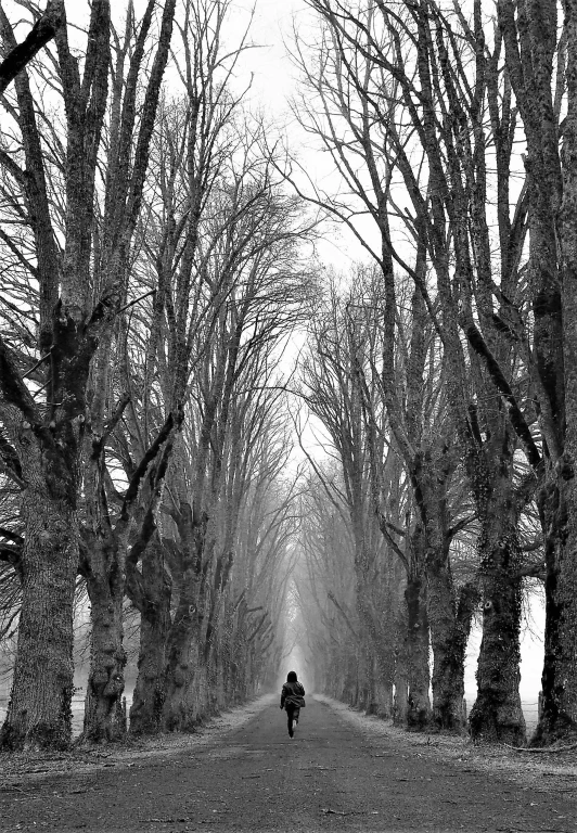 someone rides a motorcycle on the road through the woods