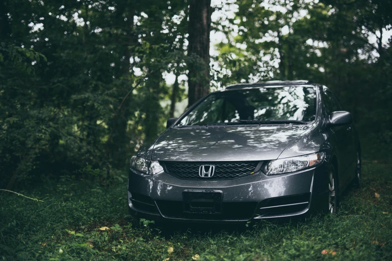 a dark gray car in a forest