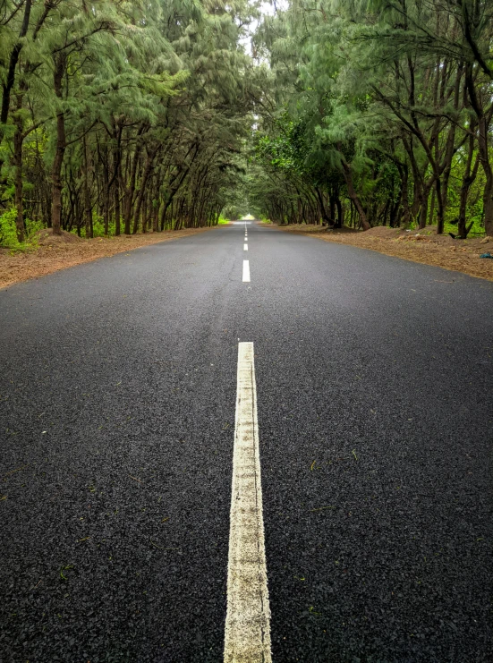 the curve of an empty street leads in to some green trees