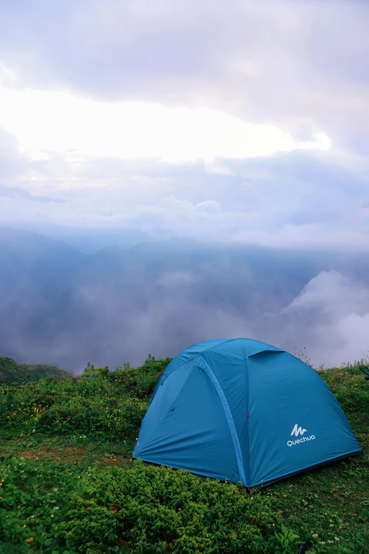 a blue tent sits in the middle of a lush green field