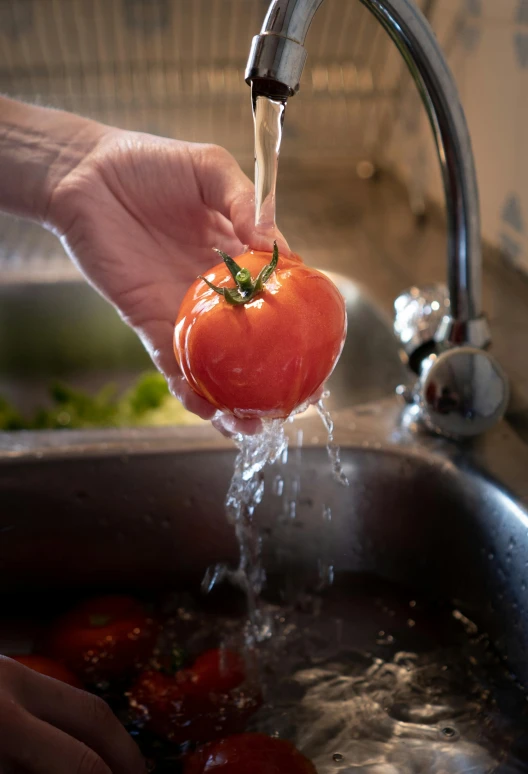 a person washing a tomato under the running water