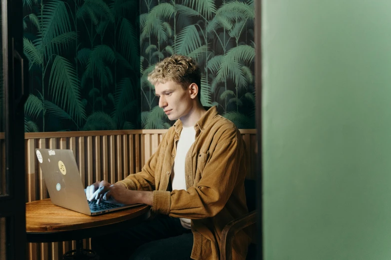 young man sitting in restaurant using laptop