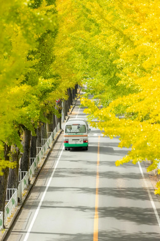 the bus is making its way down the tree lined road