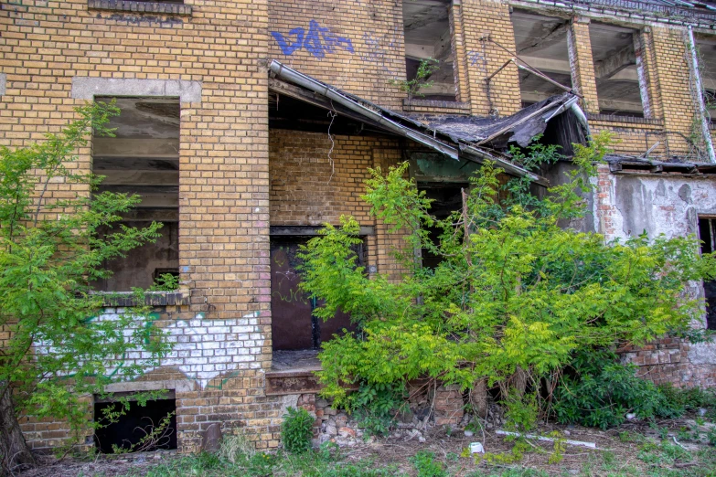 an old building with green shrubs and broken down windows