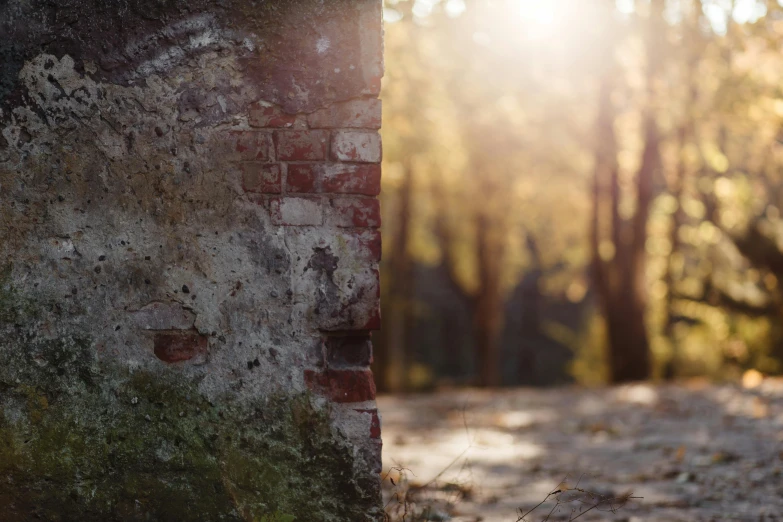 a moss covered brick building in a forest with sunlight coming through trees