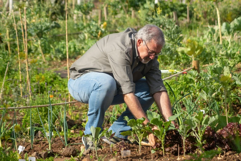 a man kneeling down and looking at his plants