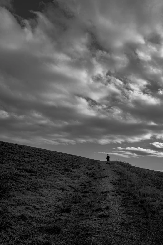 a lone tree stands on the top of a hill