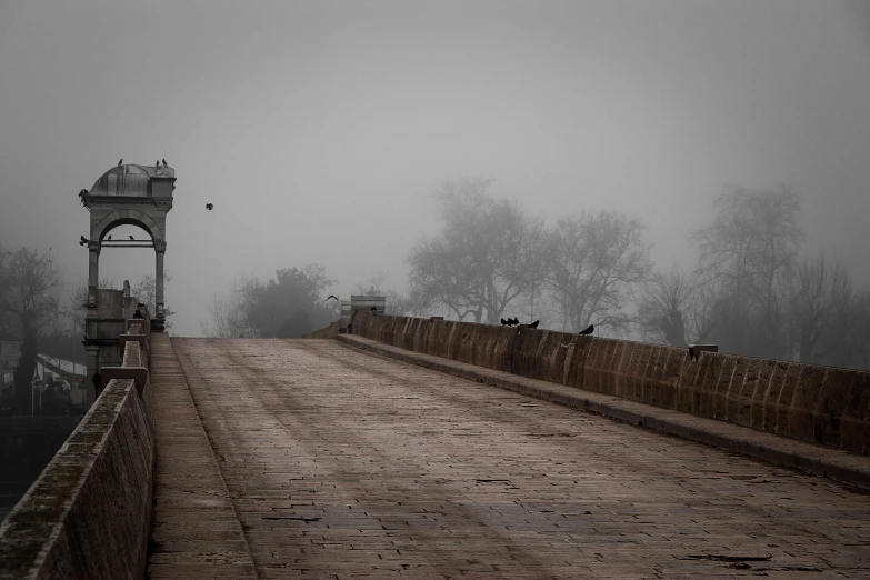 a wooden bridge with birds standing on it