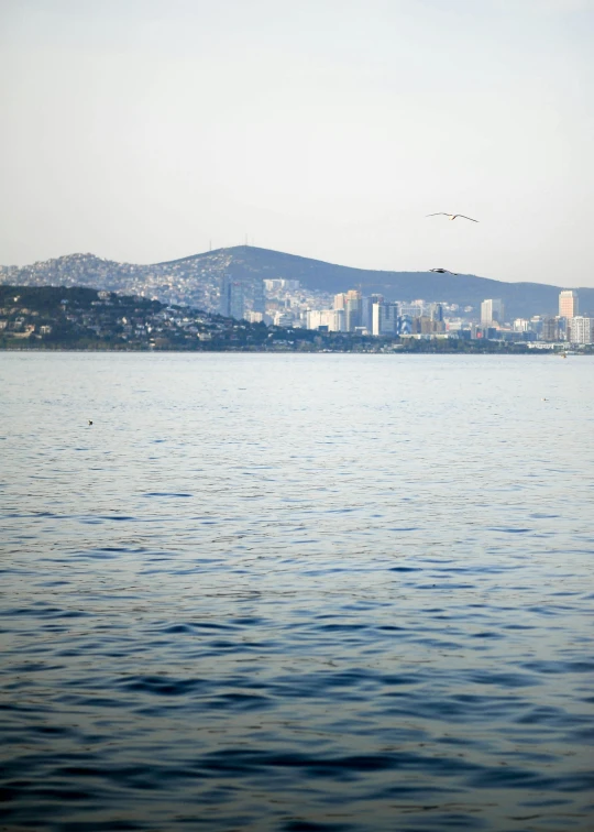 a view of the skyline from a calm lake