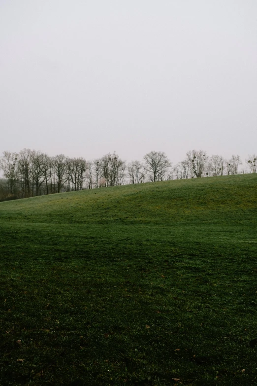 a lonely, green hill with trees near it