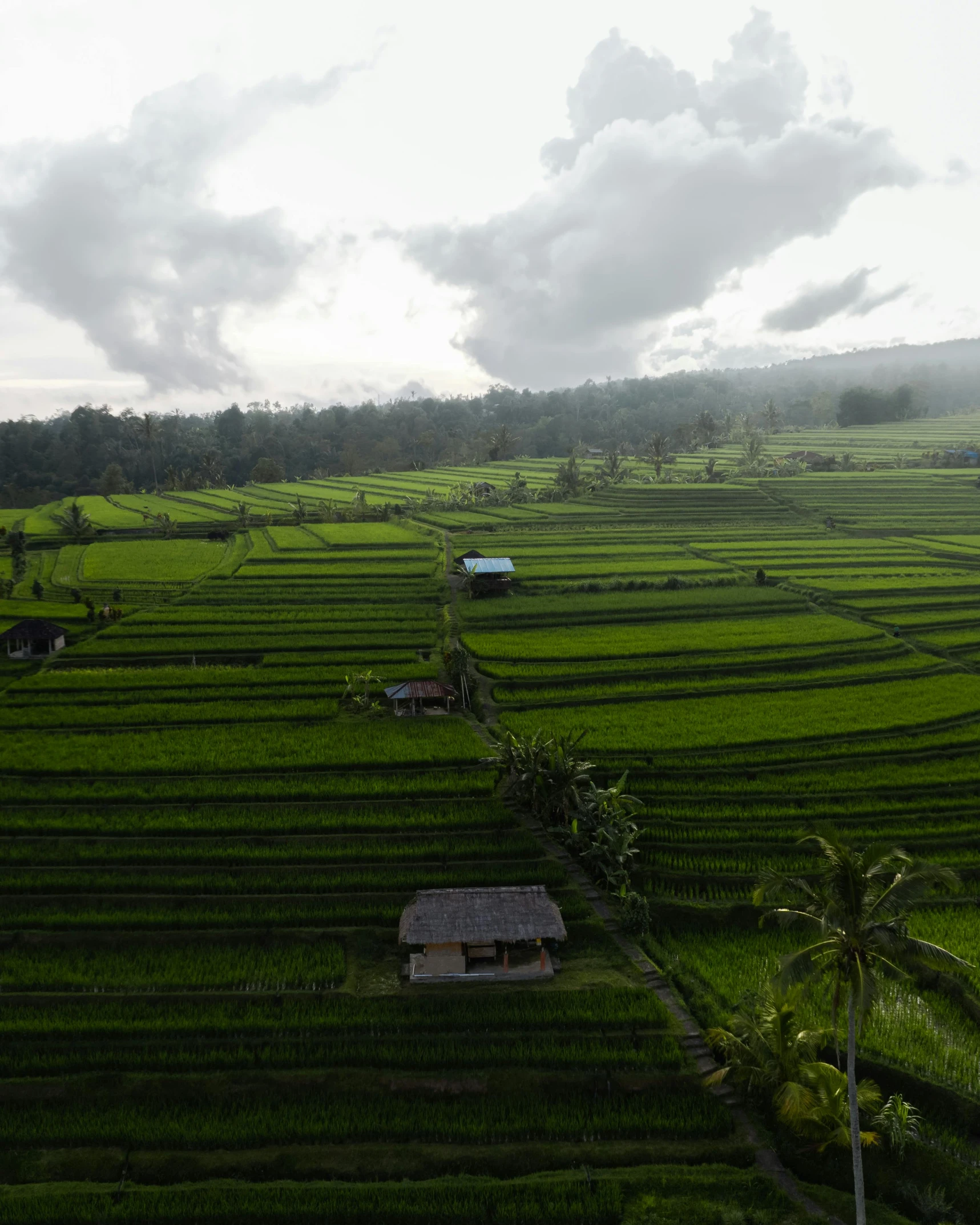 the sky is full of clouds and bright green fields