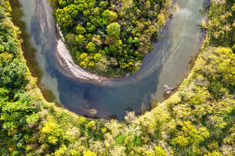 there is a large stream and trees surrounding it