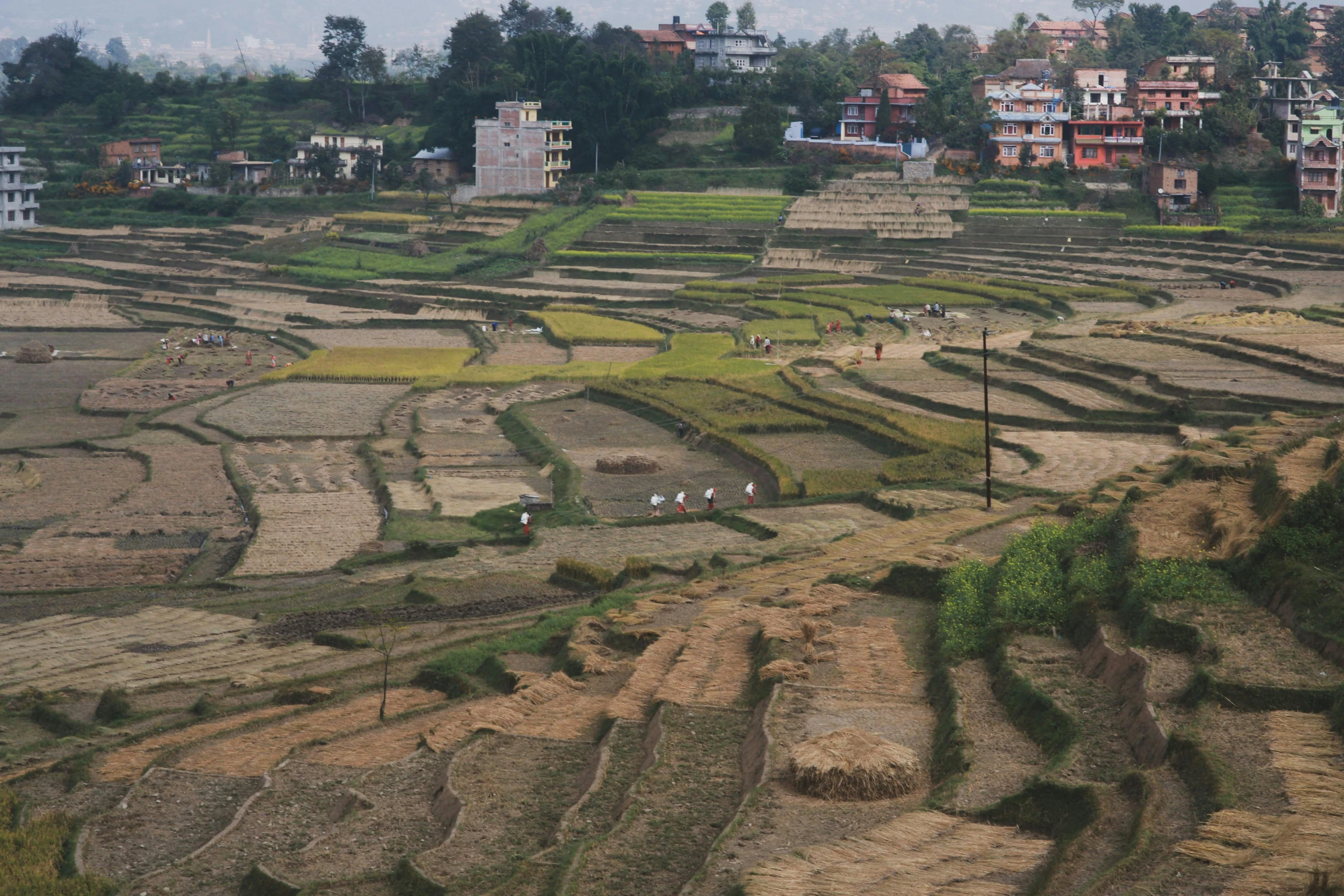 a po taken from above shows fields in front of buildings