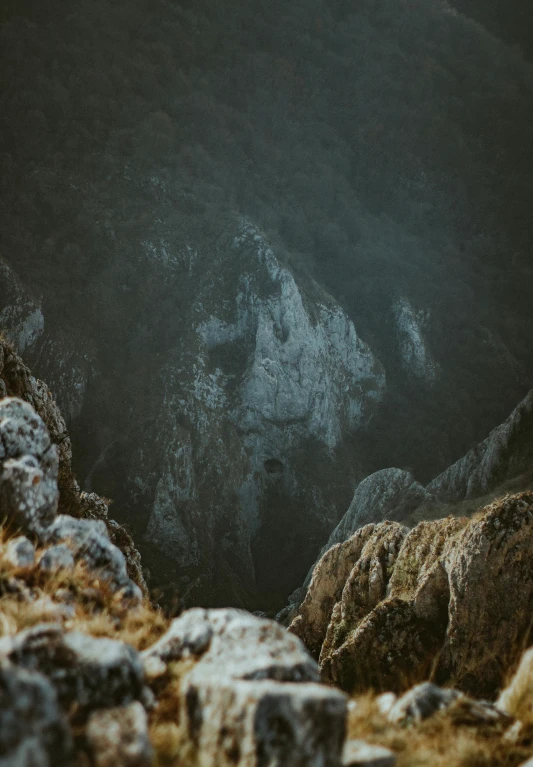 a bear walking around in some rocks