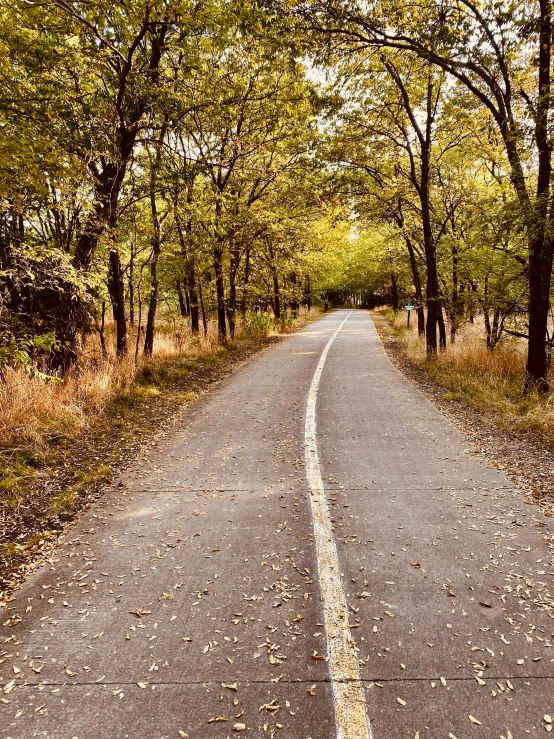 a single yellow fire hydrant that is standing in the middle of the road