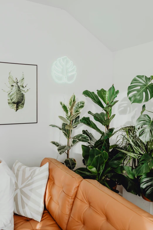 some plants that are in a pot on a table