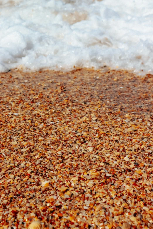 a bird on the beach standing by water