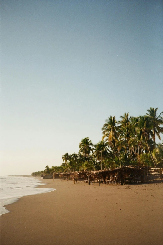 a man standing on the shore of a beach