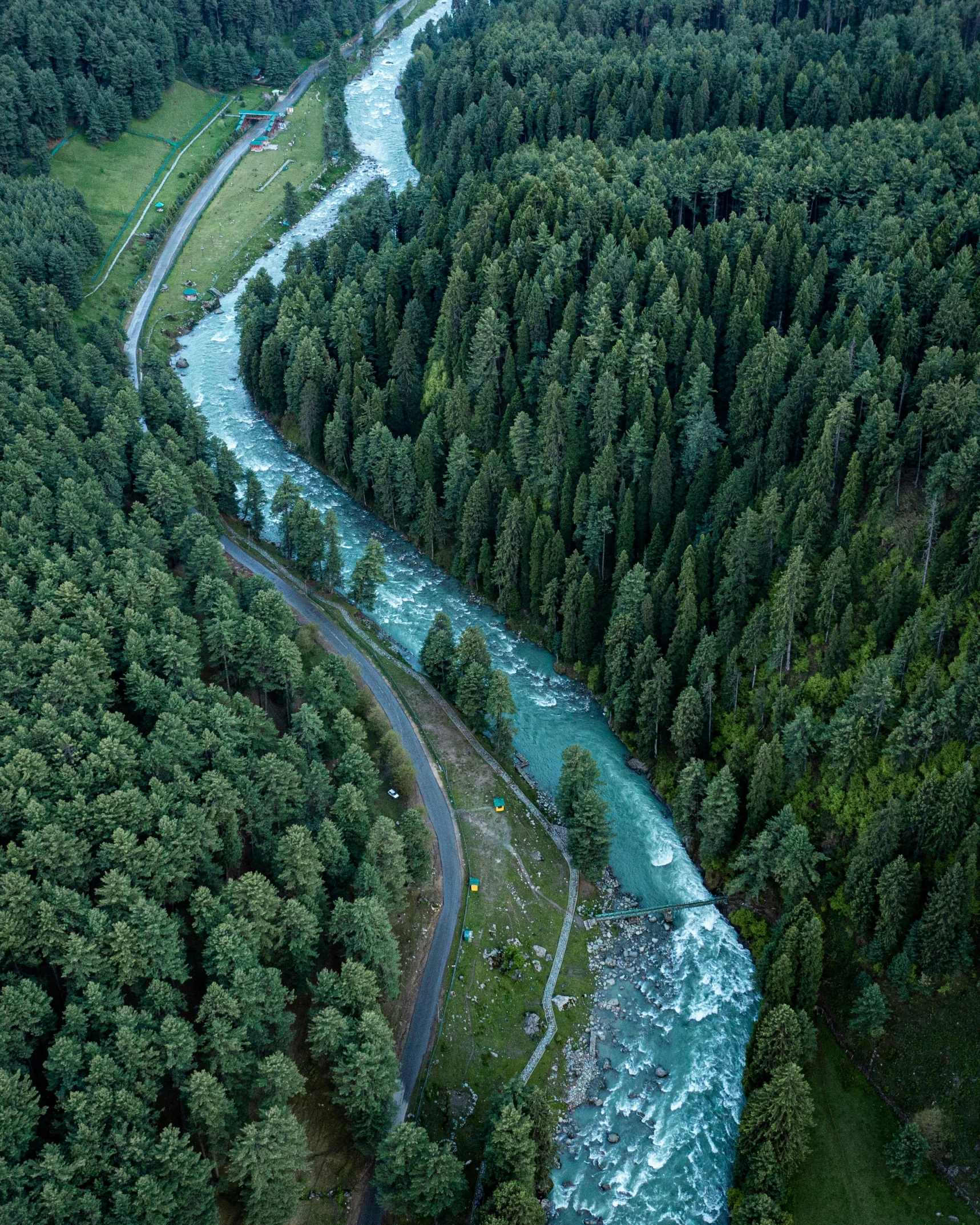 a river in the middle of a forest