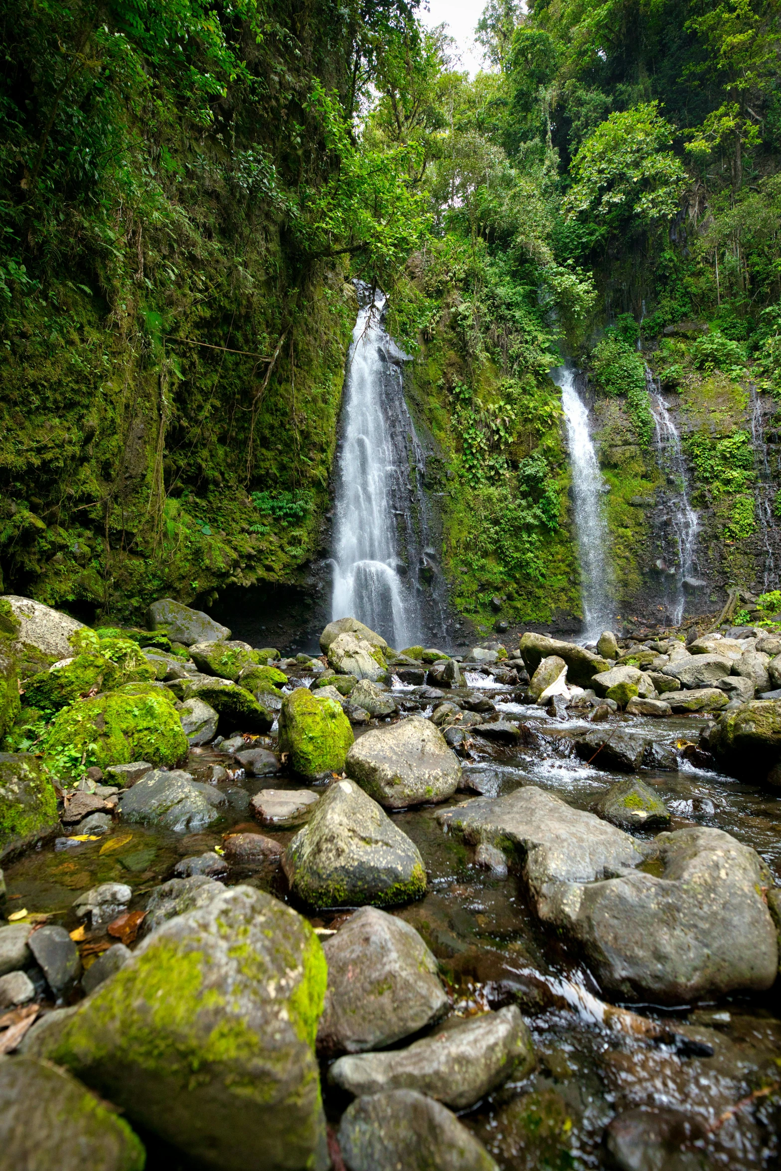 waterfalls running down a very wide and wooded trail