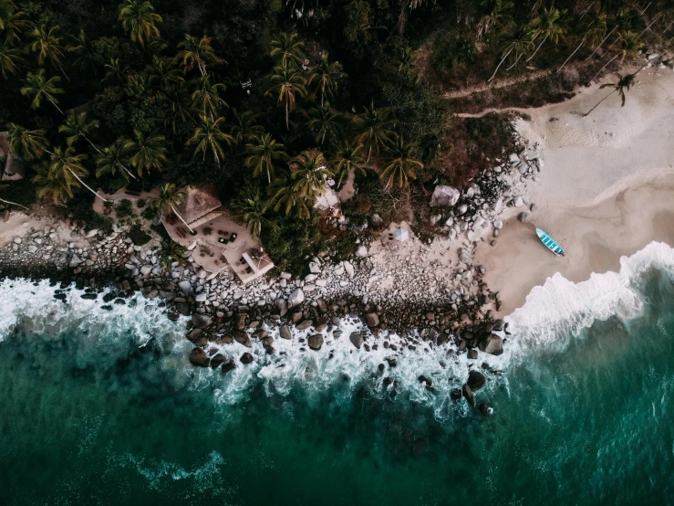 an aerial view of a beach with a body of water, rocks, and trees