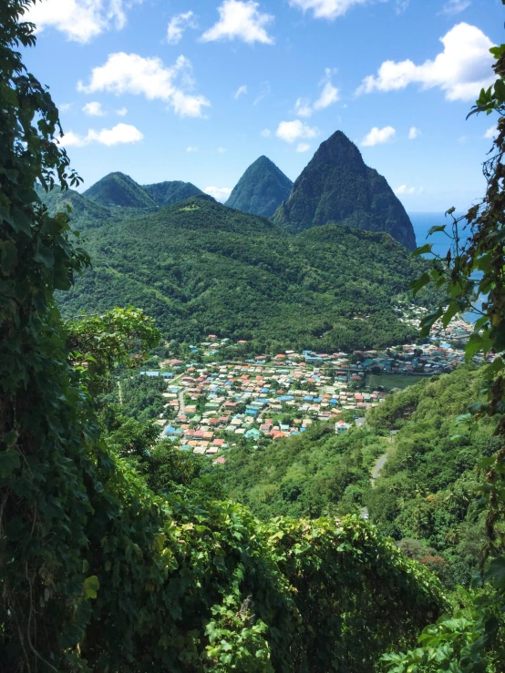 there is a mountain in the background near a village