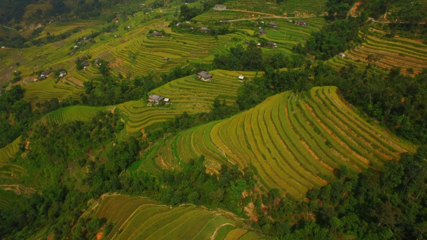 a valley is seen from an airplane as it flies near a forest