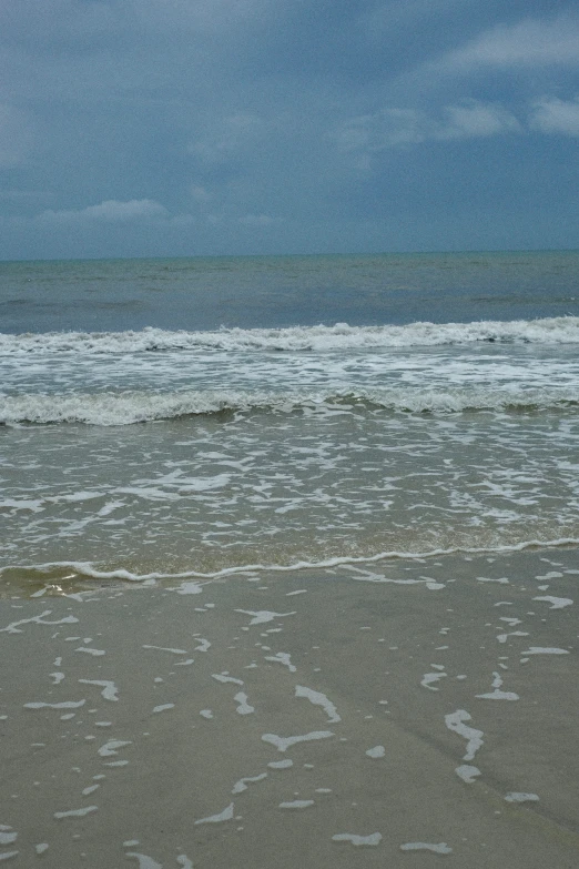 the dog is standing at the waters edge looking at the waves