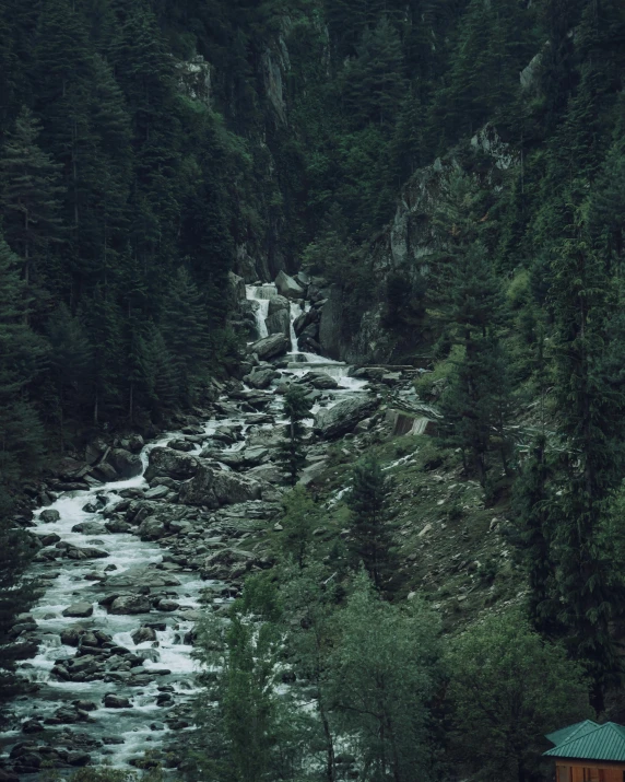 a river running through a lush green forest