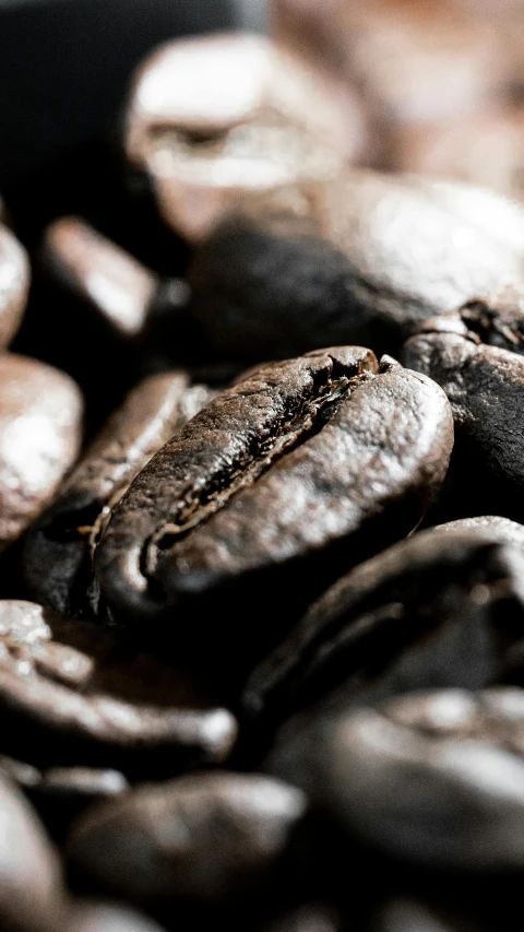 coffee beans and coffee bean pods lying together