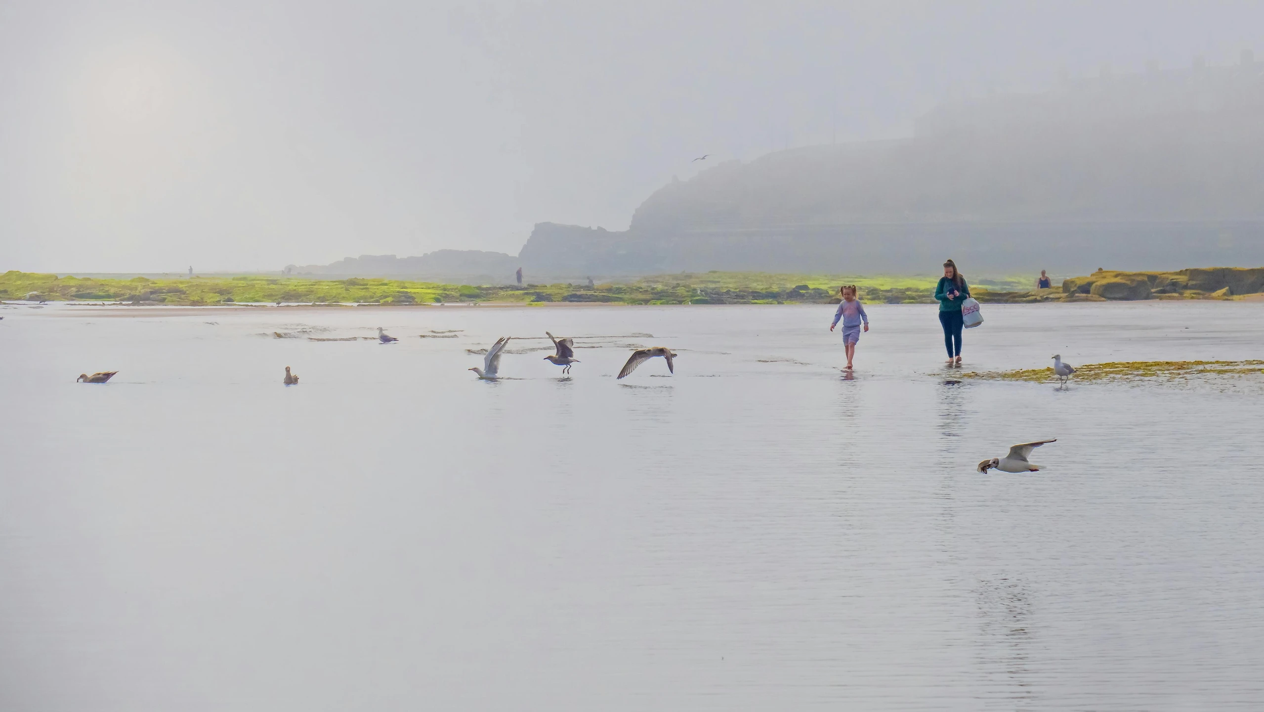 the people are walking through the water