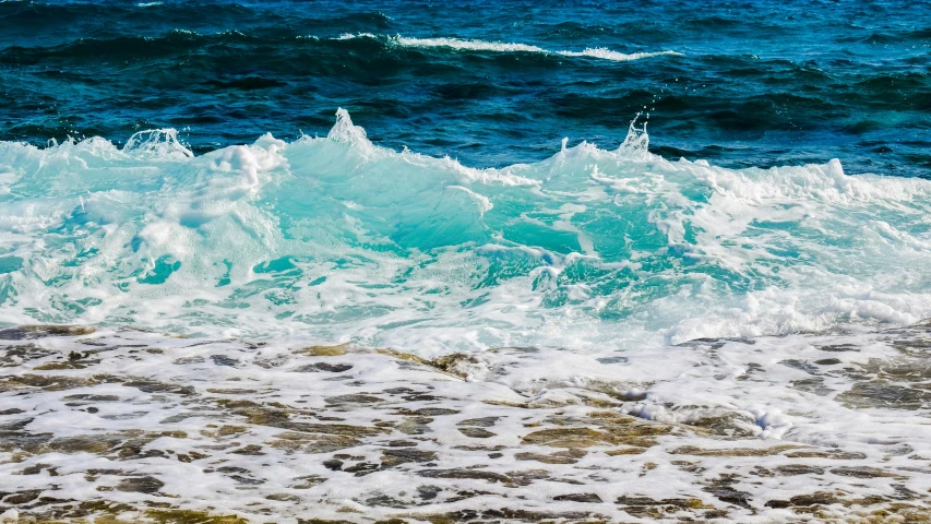 an animal is walking in the water near a rock beach