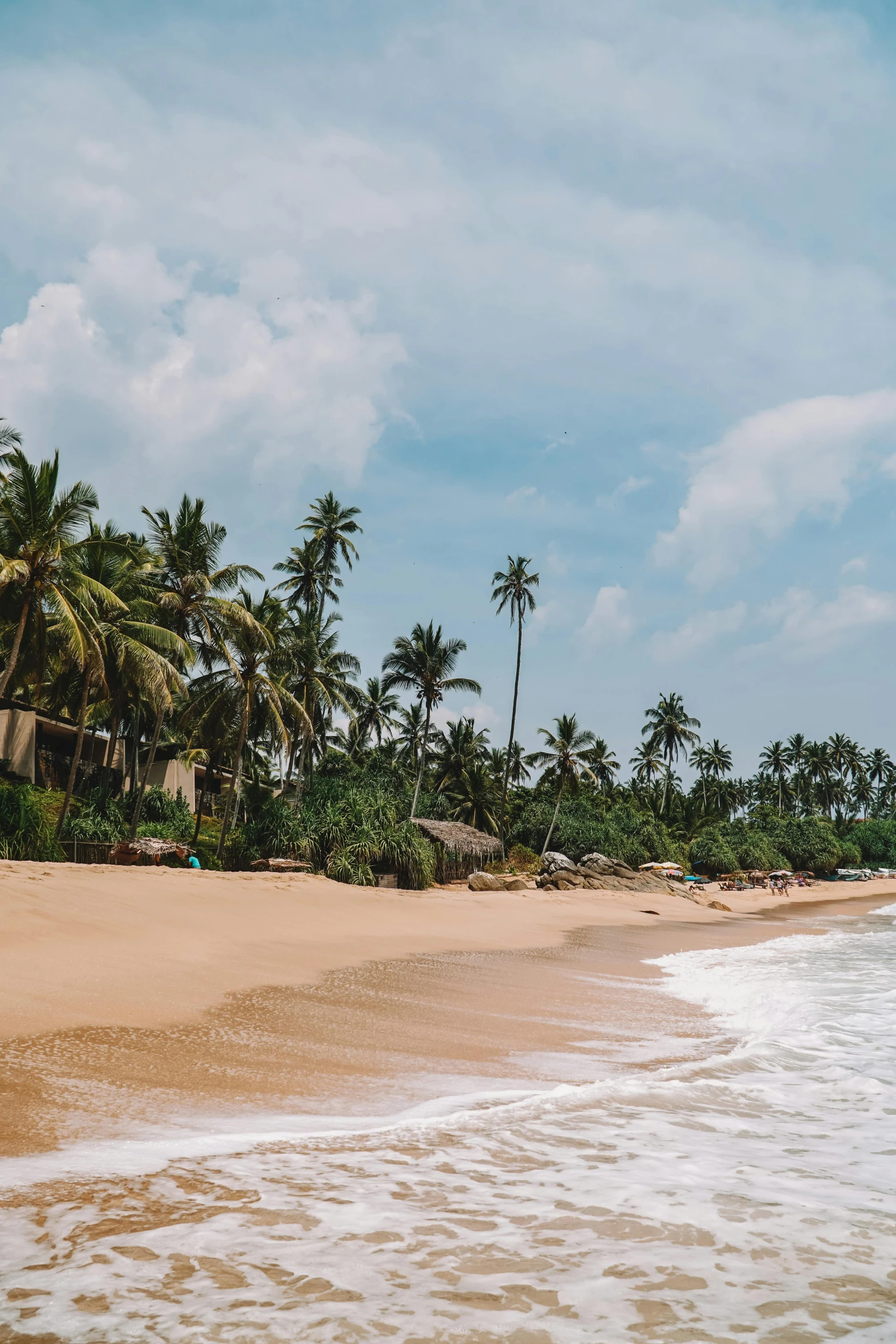 people are walking along the beach near coconut trees