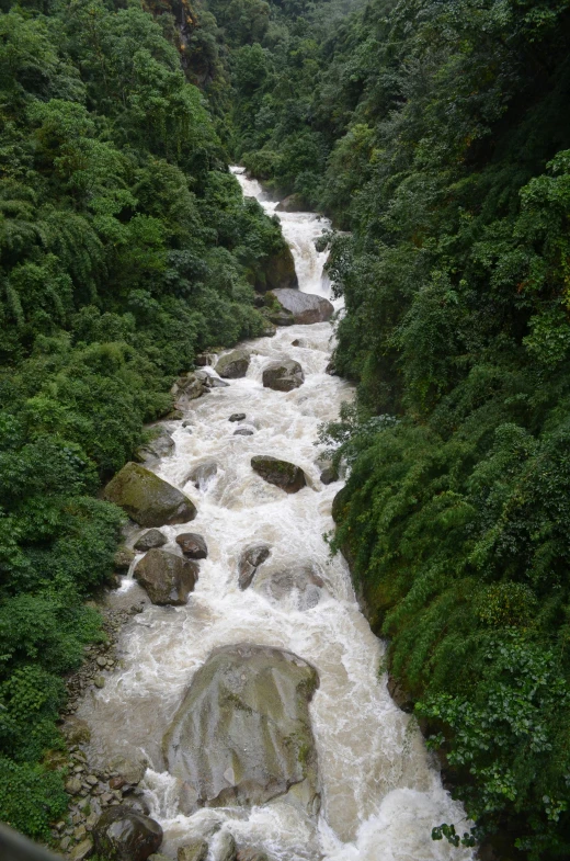 a stream that runs through between two green trees