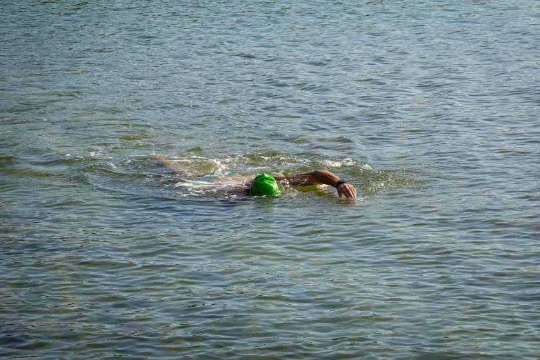 a person swimming in the water on a surfboard