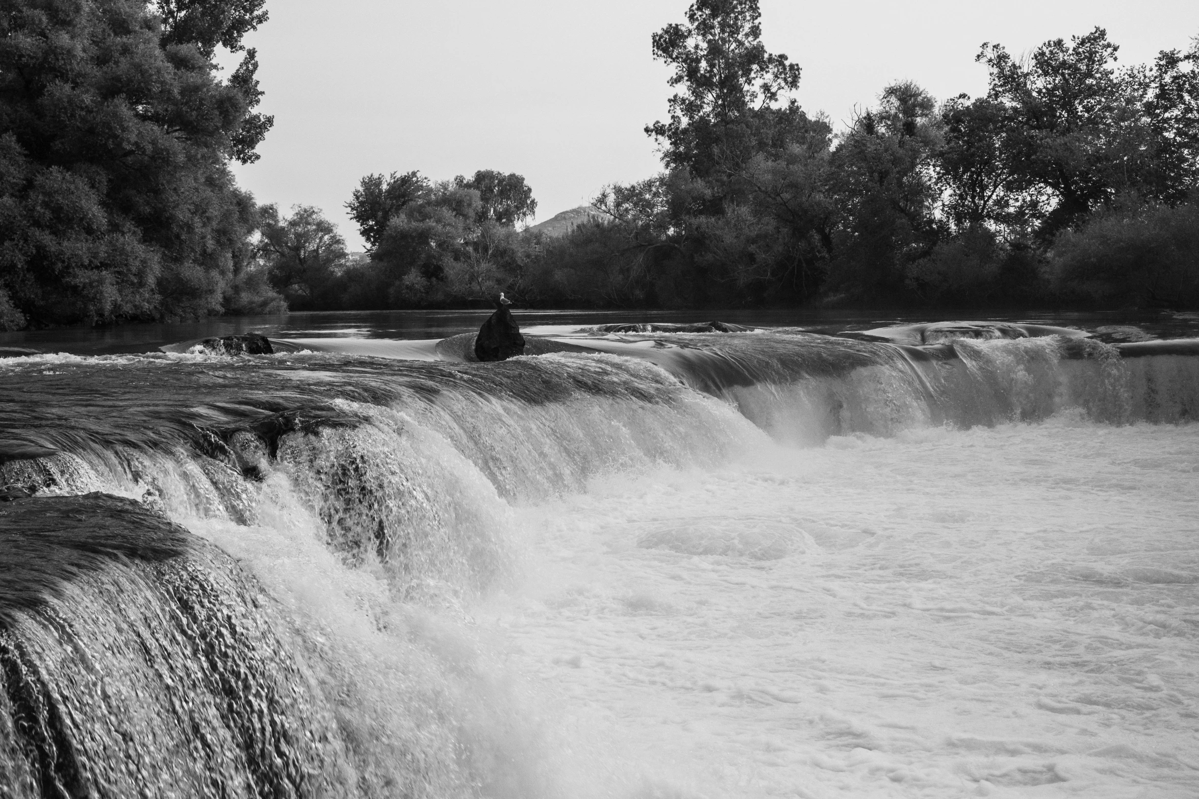 the po is black and white of the waterfall and trees