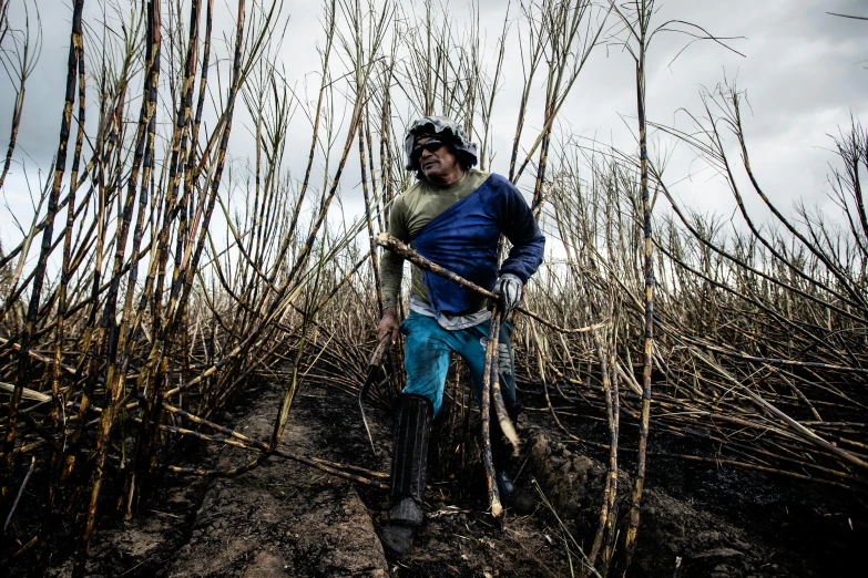 a man in the middle of a field holding a stick