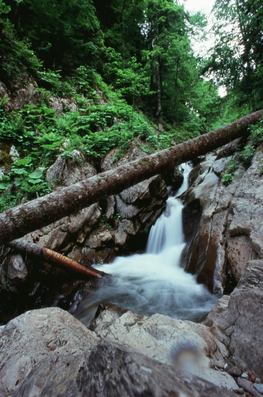 a stream running through a forest filled with rocks