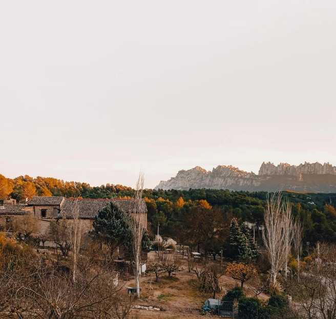 a scenic s of a city with tall trees in front of it