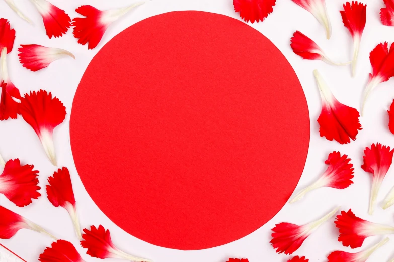 a large circle with red petals is shown with a white circle