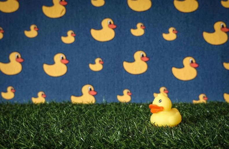 a rubber ducky sits in the grass near a wall with rubber ducks