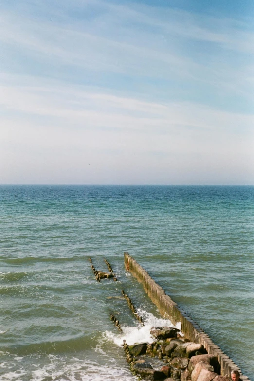 there are many birds that can be seen standing at the pier