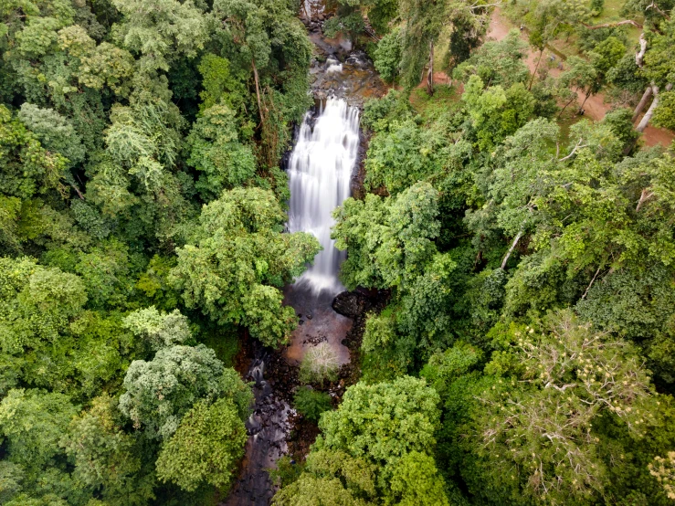 a river running through lush green trees near a waterfall