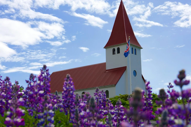 a church tower surrounded by purple flowers under a cloudy blue sky