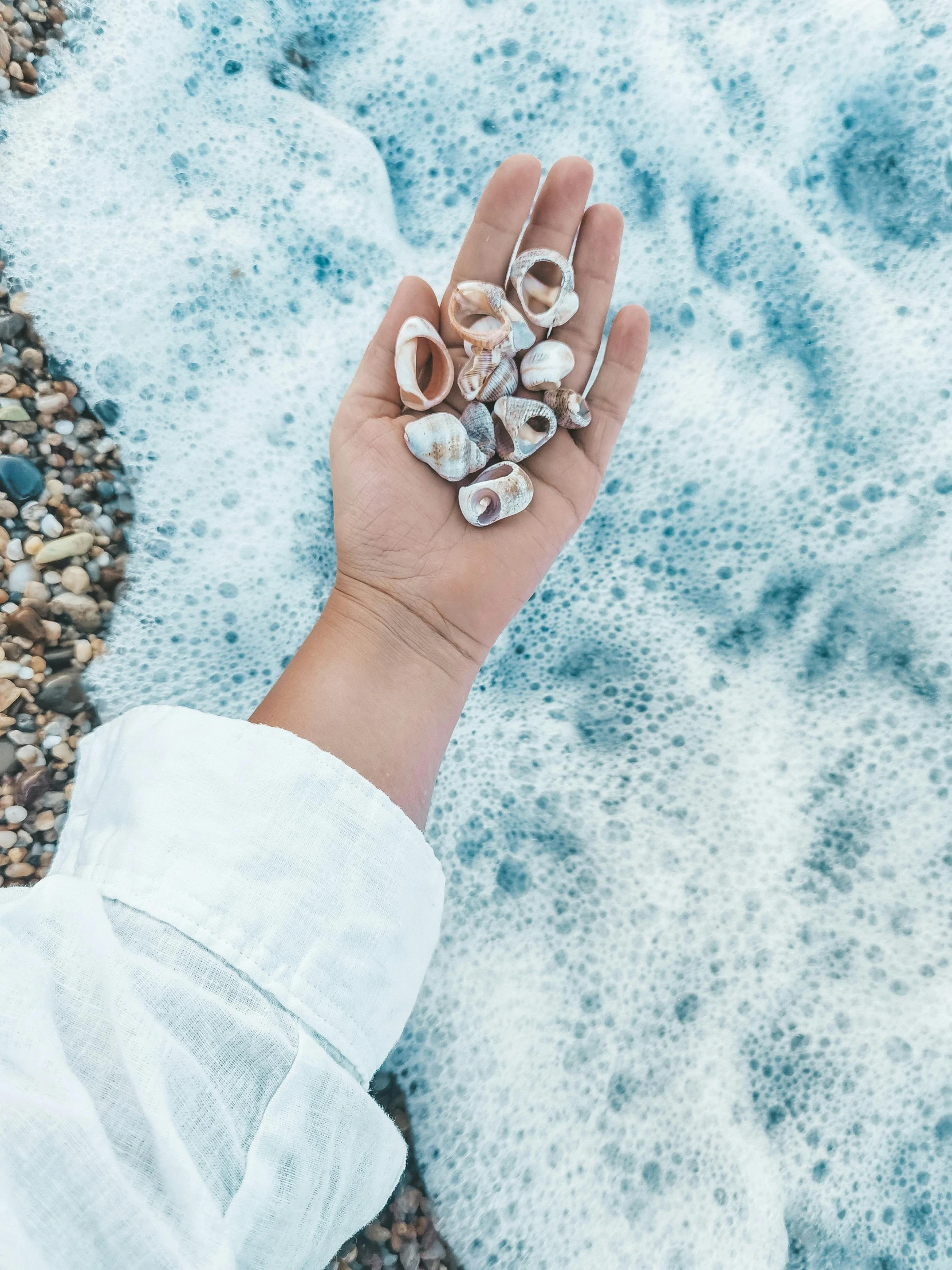 person holding shells in their hand on the beach