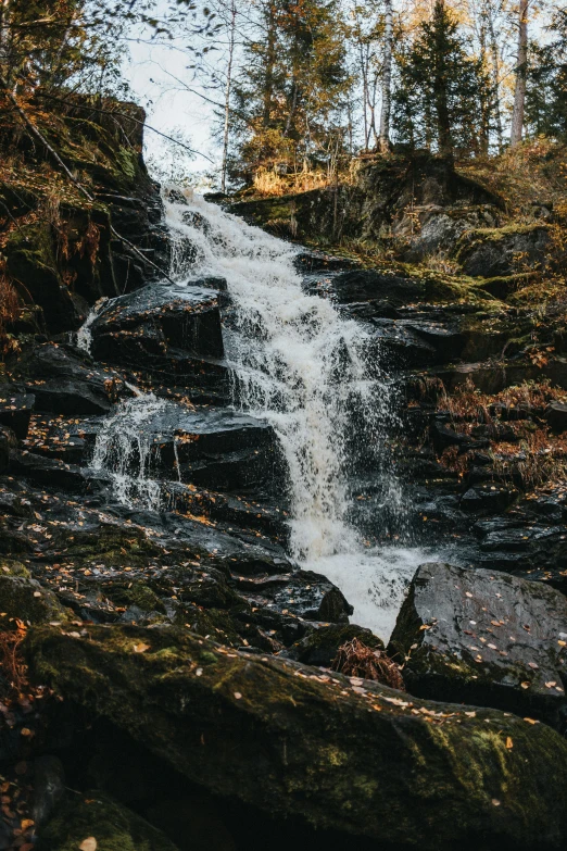 a waterfall flowing into a lake surrounded by woods